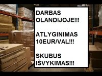 DARBAS OLANDIJOJE VYRAMS