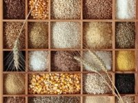 Geromis kainomis perka pašarinius GRŪDUS