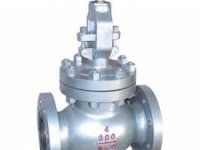 GLOBE VALVES SUPPLIERS IN KOLKATA