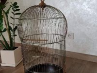 Narvelis paukšciams