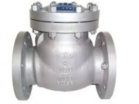 NON RETURN ( NRV ) VALVES IN KOLKATA