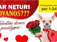 Originalios dovanų idėjos Valentino dienos proga!