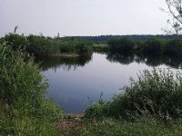 Parduodama sodyba su 3,15ha žeme prie Via Baltica