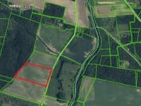 PARDUODAMAS 8.03 HA SKLYPAS VIRBINIŲ K. PASVALIO RAJONE
