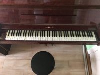 Riga pianinas