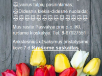 TULPĖS