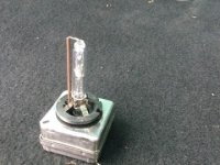 xenon lempute d1s